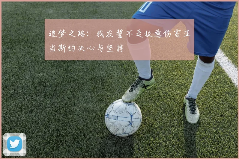 追梦之路：我发誓不是故意伤害亚当斯的决心与坚持