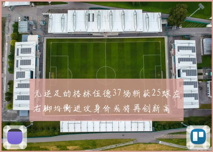 无逆足的格林伍德37场斩获25球左右脚均衡进攻身价或将再创新高